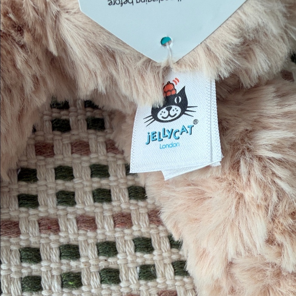 NWT Jellycat Small Finley Bear - Picture 7 of 7